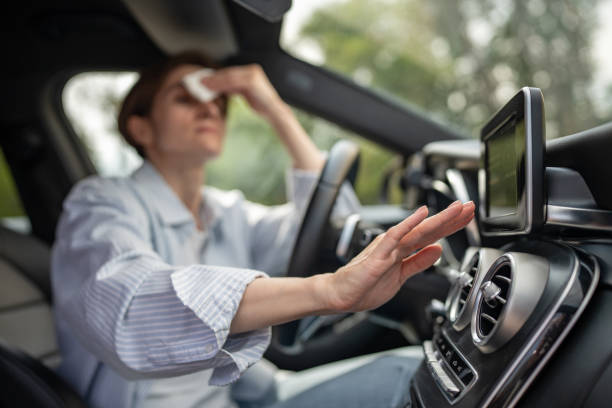 Best Air Conditioning Repair  in Lake Hamilton, AR
